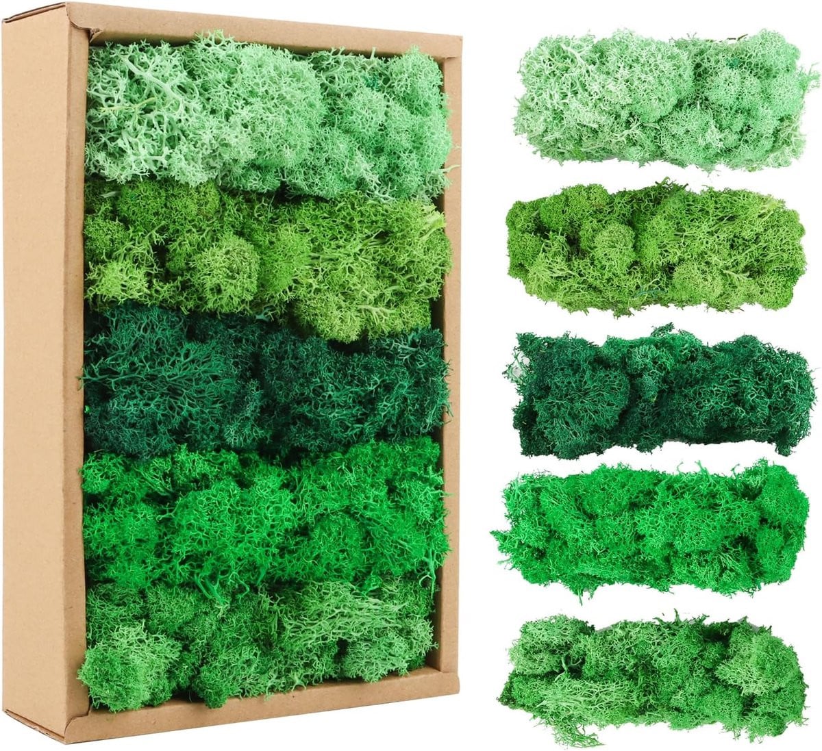 Natuurlijk geconserveerd IJslands mos in 5 kleuren voor decoratie en knutselen, 200g