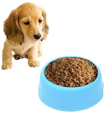 Snug & Styled Candy Color Durable Pet Food Bowl For Cats, Kittens & Small Dogs blue