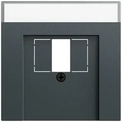 Gira Abd. BSF TAE USB System 70 087673