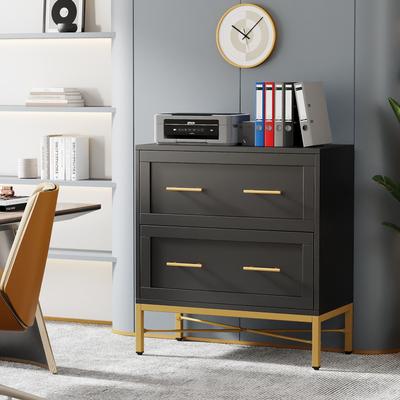 BLUEBELL Modern 2 Drawer Lateral File Cabinet for Home Office
