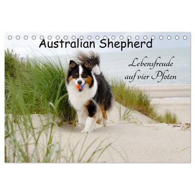 Australian Shepherd - Lebensfreude auf vier Pfoten (Tischkalender 2027 DIN A5 quer), CALVENDO Monatskalender