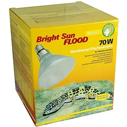 Lucky Reptile - Bright Sun FLOOD Desert - 70W