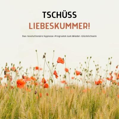 Tschüss Liebeskummer! Wie du deine Trennung verarbeitest und deine Lebensfreude wiederfindest - Lina Herzig, Audio, 4064066564551