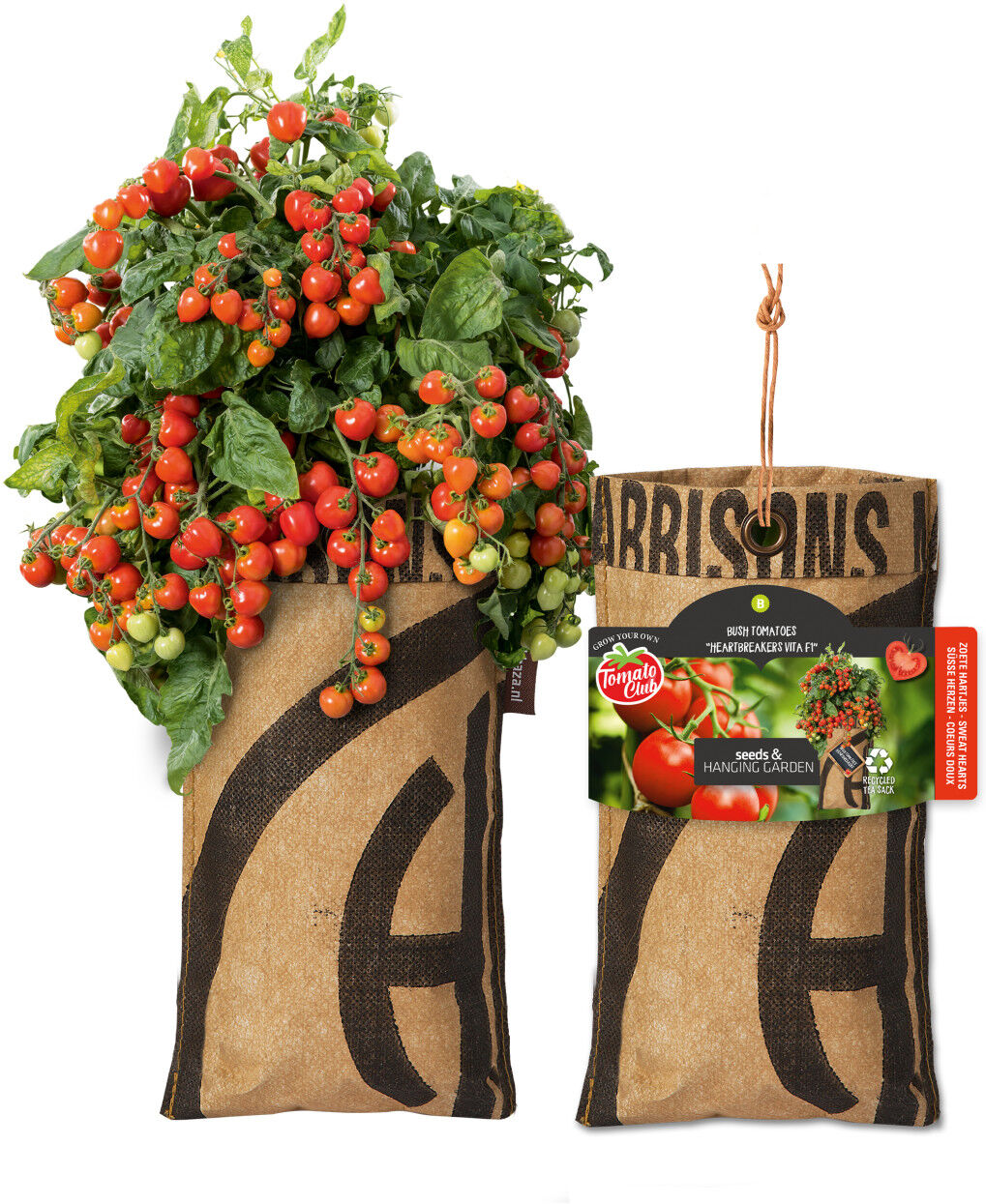 Baza Seeds hängender Garten Strauchtomate Heartbreakers