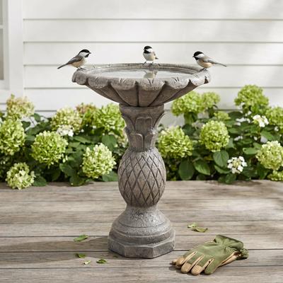Meedzom Outdoor Bird Bath Pineapple Texture Sturdy Fibre Reinforced Concrete Design for Home Garden Patio Yard Decor