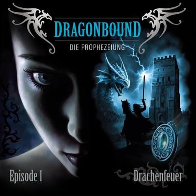 Folge 01: Drachenfeuer - Peter Lerf, Audio, 4064066615550