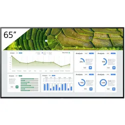 Sony 65" Pro BRAVIA LCD 440nit (3840 x 2160 Pixel, 65"), Digital Signage, Schwarz