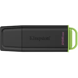 Kingston DataTraveler Exodia USB-Stick 256 GB