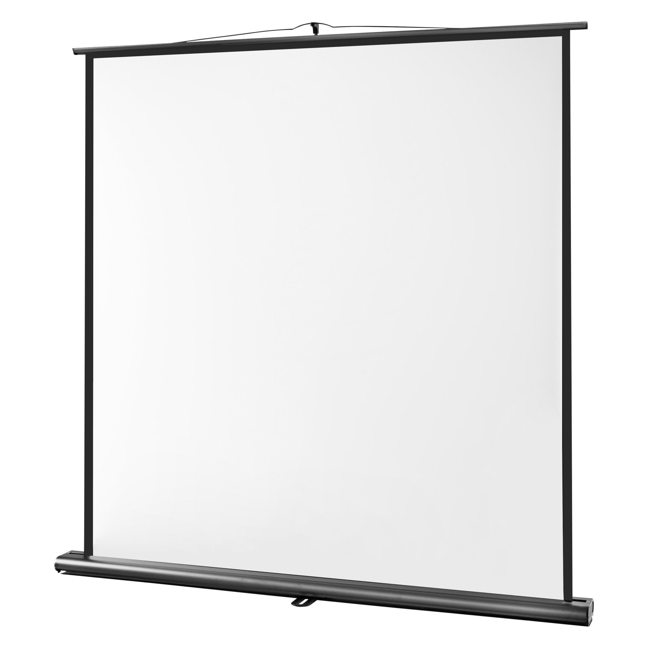 Celexon Ultramobil Professional (109", 1:1) (1091783)