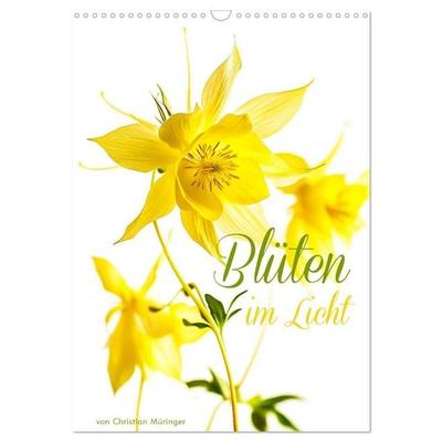 Blüten im Licht (Wandkalender 2027 DIN A3 hoch), CALVENDO Monatskalender