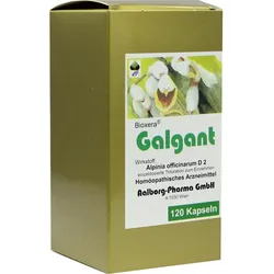 Galgant 120 ST