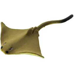 Safari Kuhnasenrochen