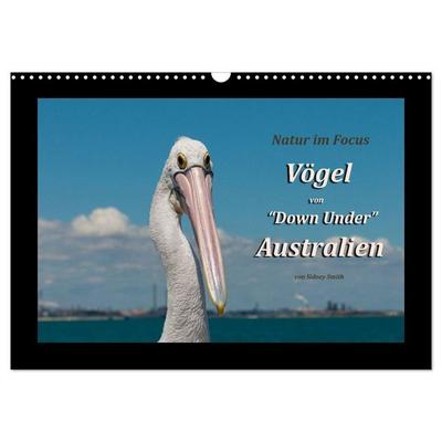 Vögel von 'Down Under' Australien (Wandkalender 2027 DIN A3 quer), CALVENDO Monatskalender