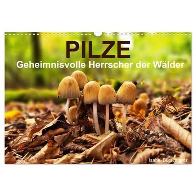 Pilze - Geheimnisvolle Herrscher der Wälder (Wandkalender 2026 DIN A3 quer), CALVENDO Monatskalender