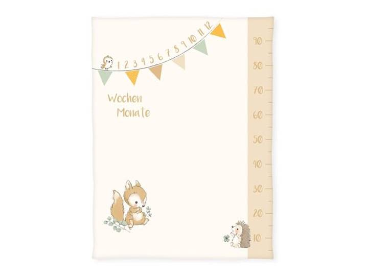 Herding babybest Soft-Peachdecke Waldfreunde Meilensteindecke/Monatsdecke/Fotodecke, Inkl. Zubehör, 75 x 100 cm, Polyester, Twin