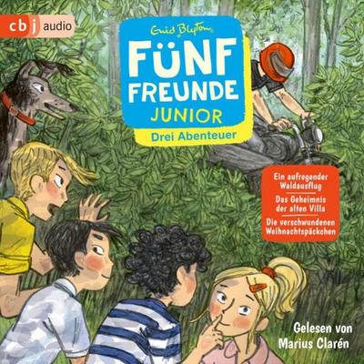 Fünf Freunde JUNIOR - Drei Abenteuer - Ein aufregender Waldausflug. Das Geheimnis der alten Villa. Die verschwundenen Weihnachtspäckchen - Enid