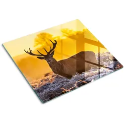 GLASPLATTE 60x52 cm Sonnenaufgang über dem Hirsch