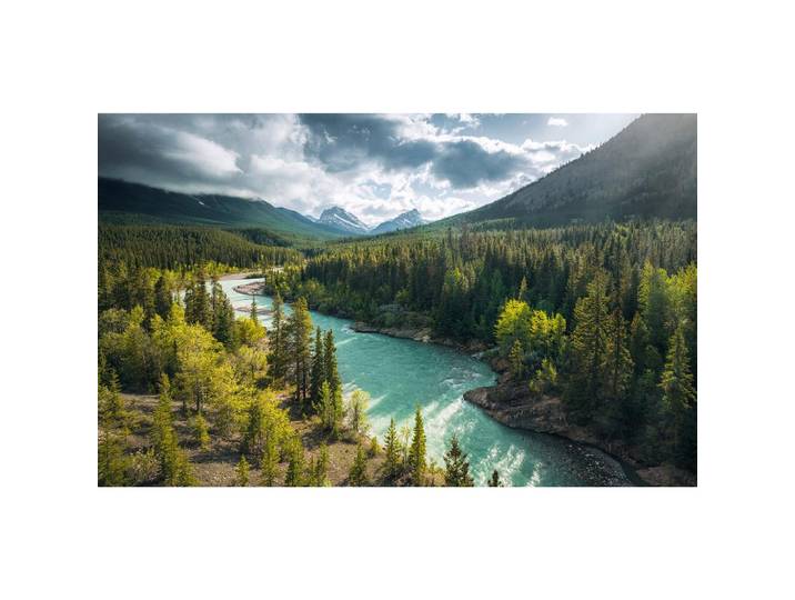 FOTOTAPETE WILD CANADA