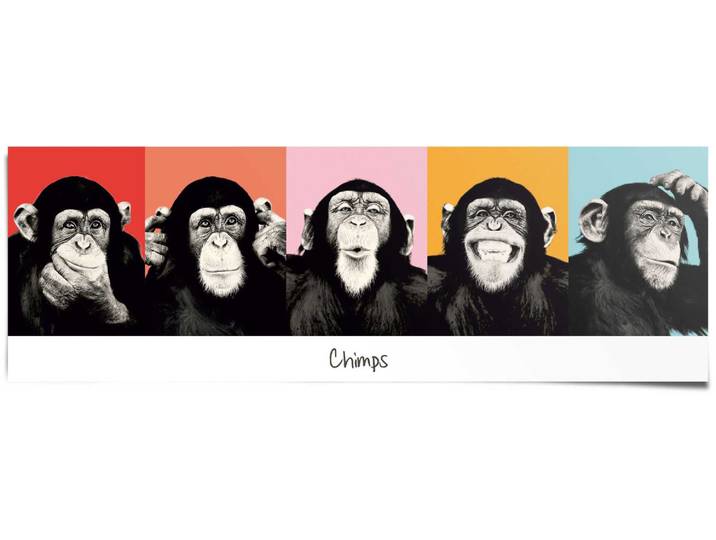 Poster REINDERS Schimpanse Pop , bunt (farbe bild(er): mehrfarbig), B:158cm H:53cm, Papier, Bilder, Poster
