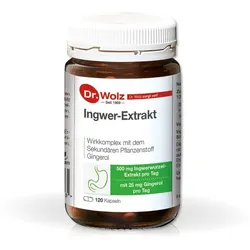 INGWER EXTRAKT Dr.Wolz Kapseln 120 St