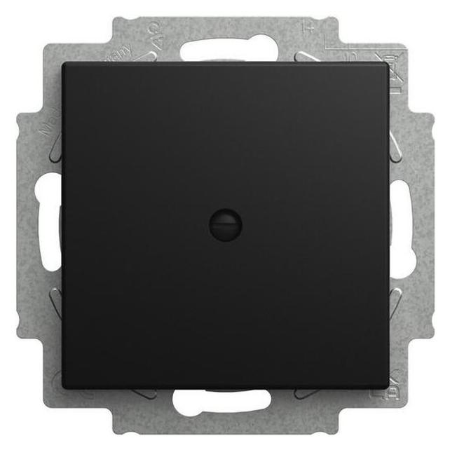 Busch-Jaeger Blindzentralscheibe 2538-915 m.Tragring Busch-balance SI (2CKA001715A0321)