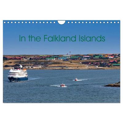 In the Falkland Islands (Wall Calendar 2026 DIN A4 landscape), CALVENDO 12 Month Wall Calendar
