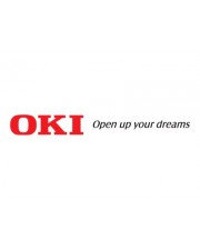 OKI Wireless LAN Module Druckserver für C650DN C600 Series (45830222)