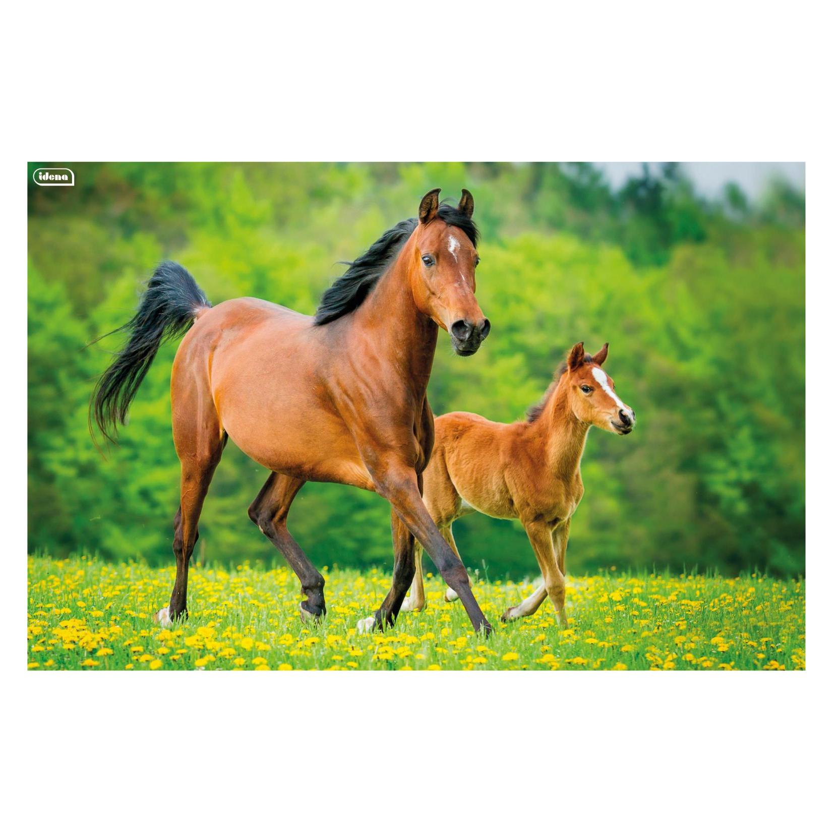 Idena Schreibunterlage PP 58,5x38,5cm Pferd (38.50 x 58.50 cm) (22657929)