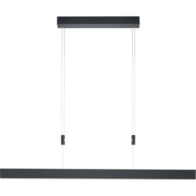 LED Pendelleuchte "DELTA", schwarz, 1, 1 Stk., HELL HÖLLISCH GUTES LICHT, Leuchten, dimmbar über Wanddimmer, Höhenverstellbar, LED Pendelleuchte