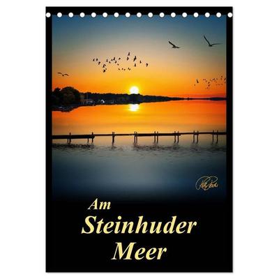 Am Steinhuder Meer / Planer (Tischkalender 2027 DIN A5 hoch), CALVENDO Monatskalender