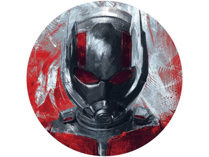 FOTOTAPETE DD1-049 AVENGERS PAINTING