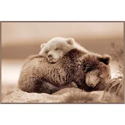 La Casa »Cuddly bears« Wandbild 120x80 cm