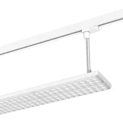 LTS Licht&amp;Leuchten LED-Stromschienenleuchte LUZ-P23 105.840.ASws