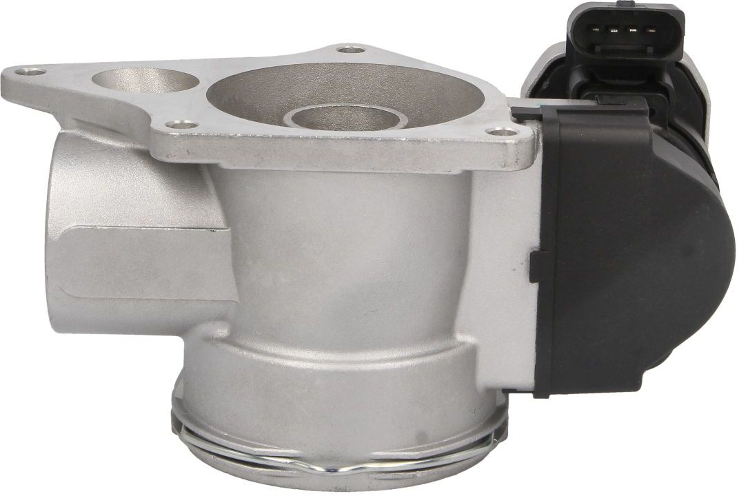 Borg Warner Valvola EGR 7256D