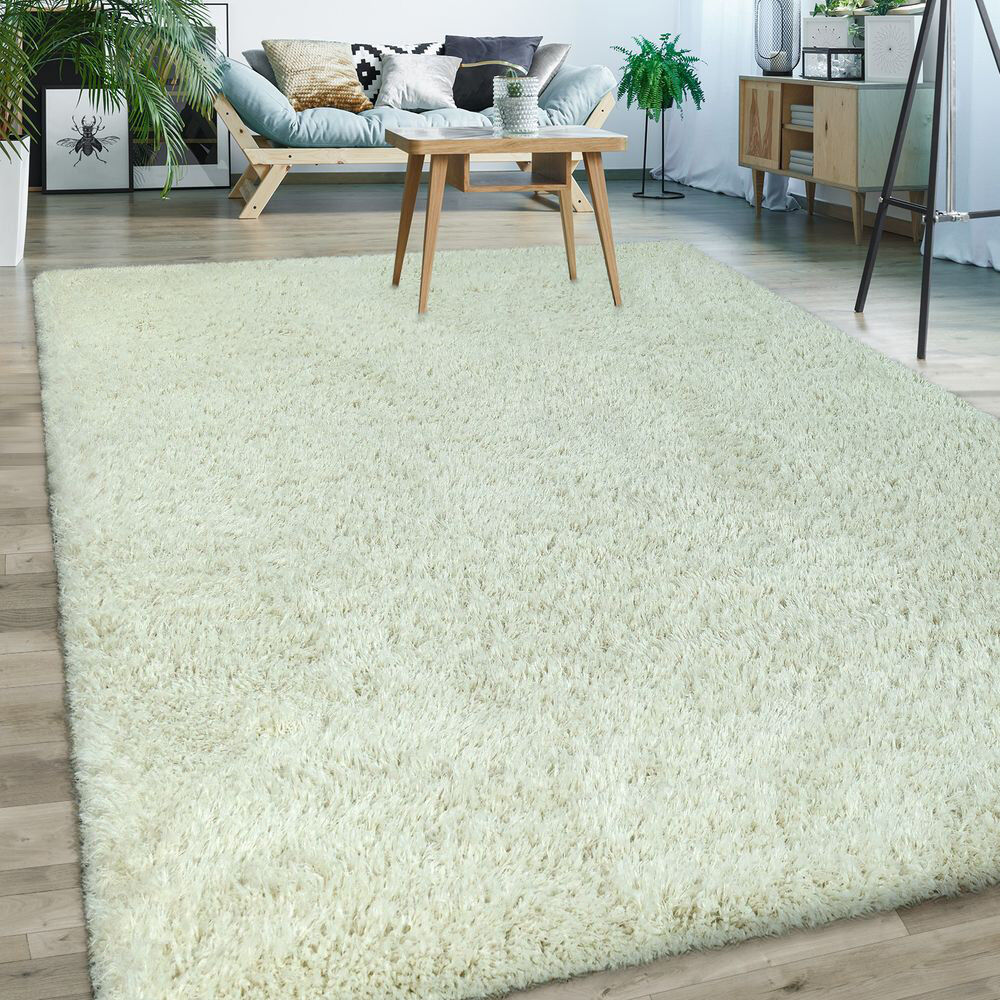 Etta Avenue Keaton Rectangle Shaggy Area Rug Cream Rectangle 120 x 170cm