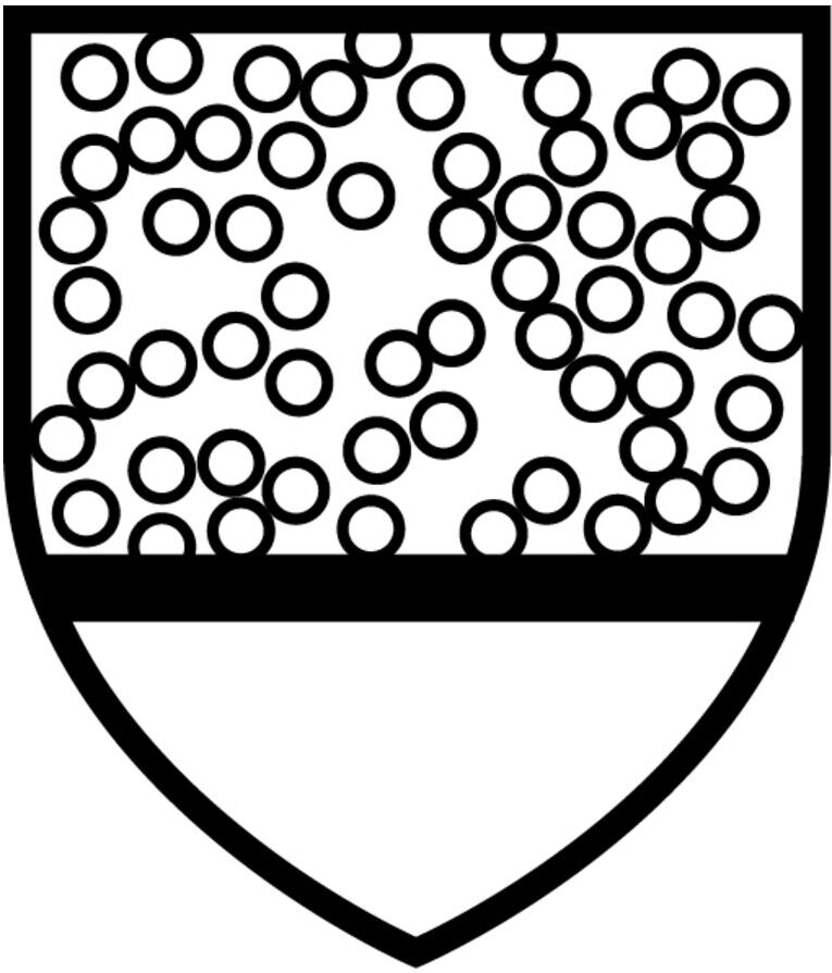 ASATEX Einweganzug ProShield 20 SFR, Gr. 2XL (D14591523)