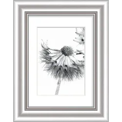 Bilderrahmen ELEGANCE silber (BH 30x24 cm) - silber - BH 30x24 cm