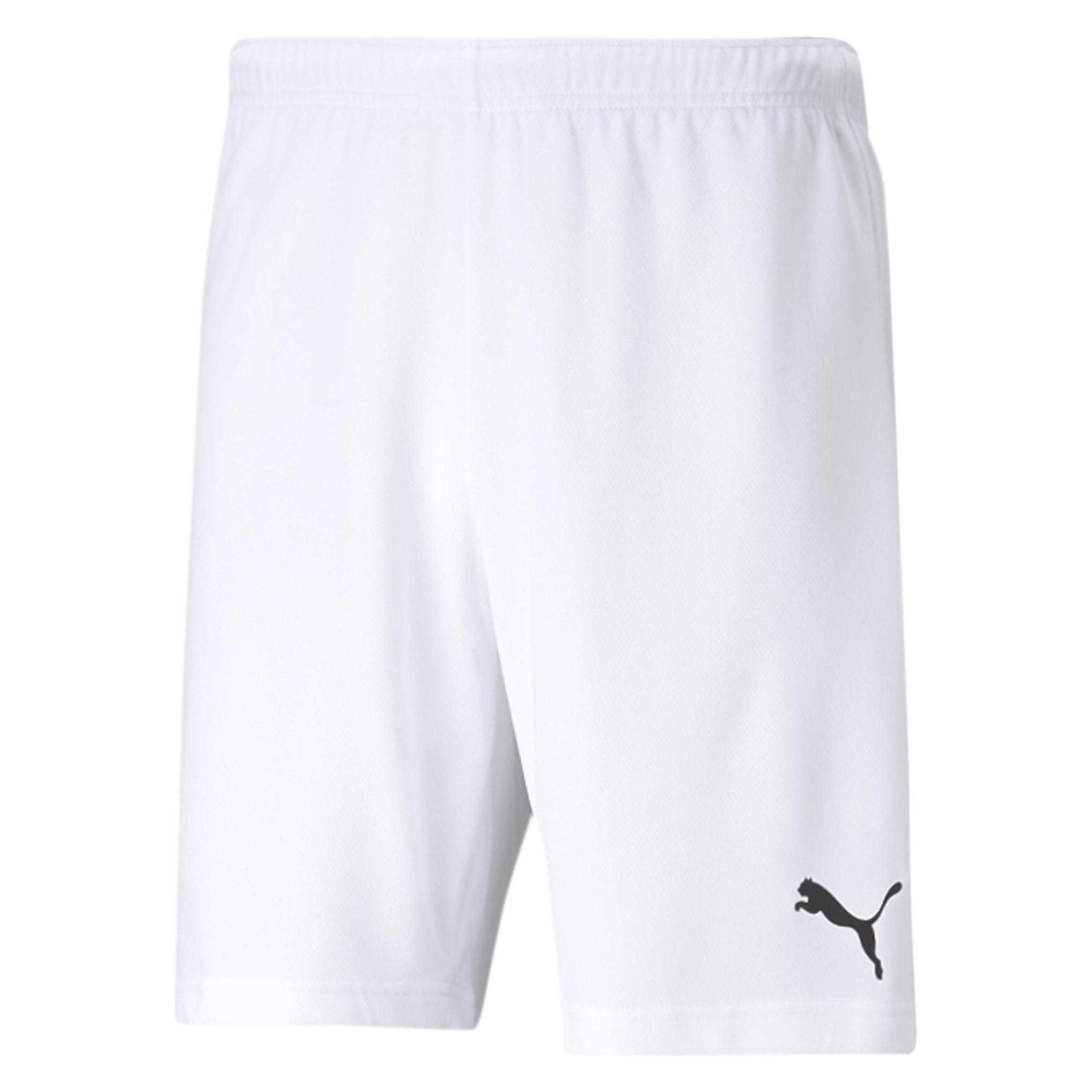 Puma teamRISE Short-704942 (L) (704942_03)