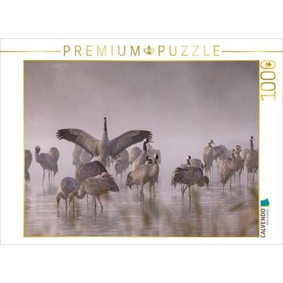 CALVENDO Puzzle Kraniche im Morgennebel | 1000 Teile Lege-Größe 64 × 48 cm Foto-Puzzle für glückliche Stunden