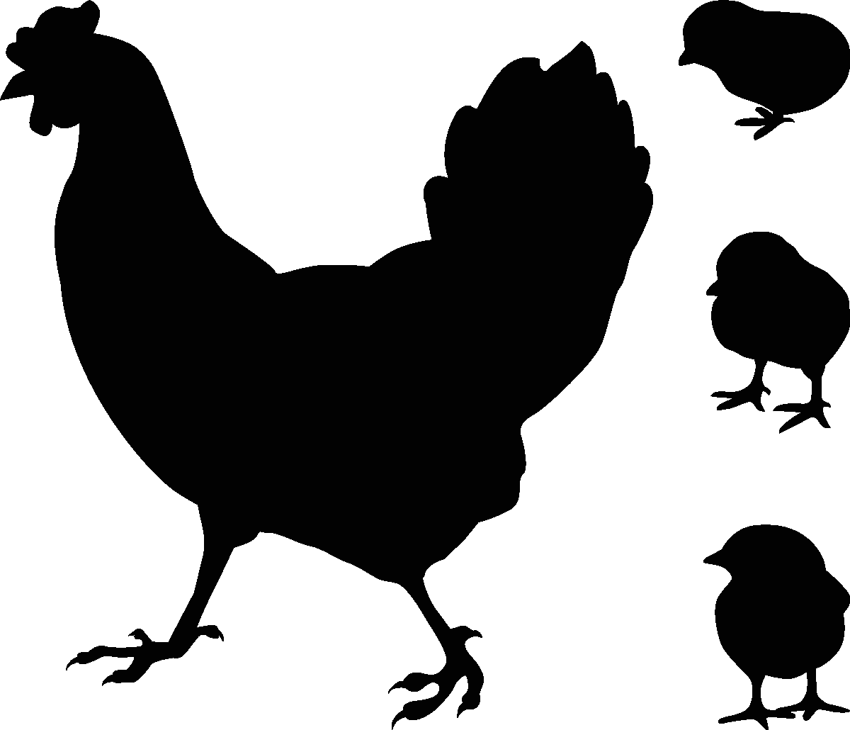 Ambiance-sticker Sticker déco Poule et poulet