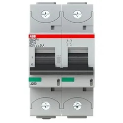 ABB Stotz S&amp;J Strangsicherung S802PV-SP10