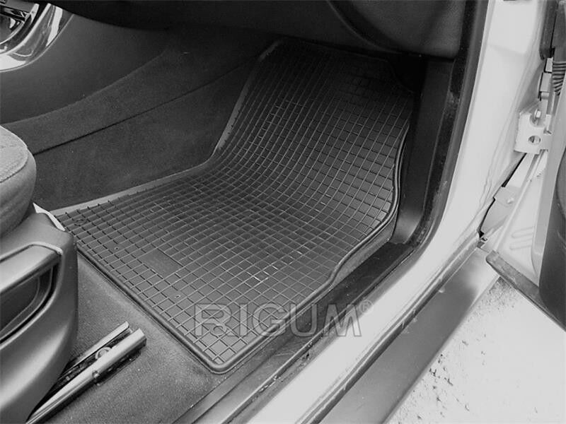 RIGUM 900316 Floor mats