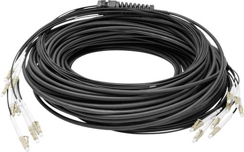 Digitus DK-24338U100BK-BBB Glasfaser LWL Anschlusskabel 100 m Schwarz [8x LC/UPC-Stecker - 8x LC/UPC-Stecker] 50/125 µ Multimode OM4
