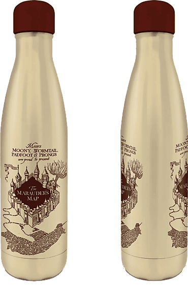 Botella - Sherwood Harry Potter, Mantiene el calor hasta 8 horas y frío 24 horas, Sin BPA, Acero inoxidable, 550 ml, Térmica
