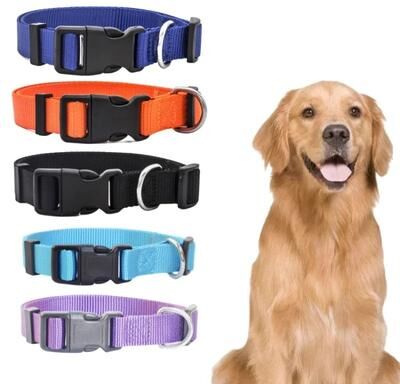 Uplifted Finds Classic Adjustable Nylon Pet Collar dog Leads Pink xl