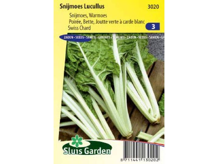 Snijbiet Lucullus