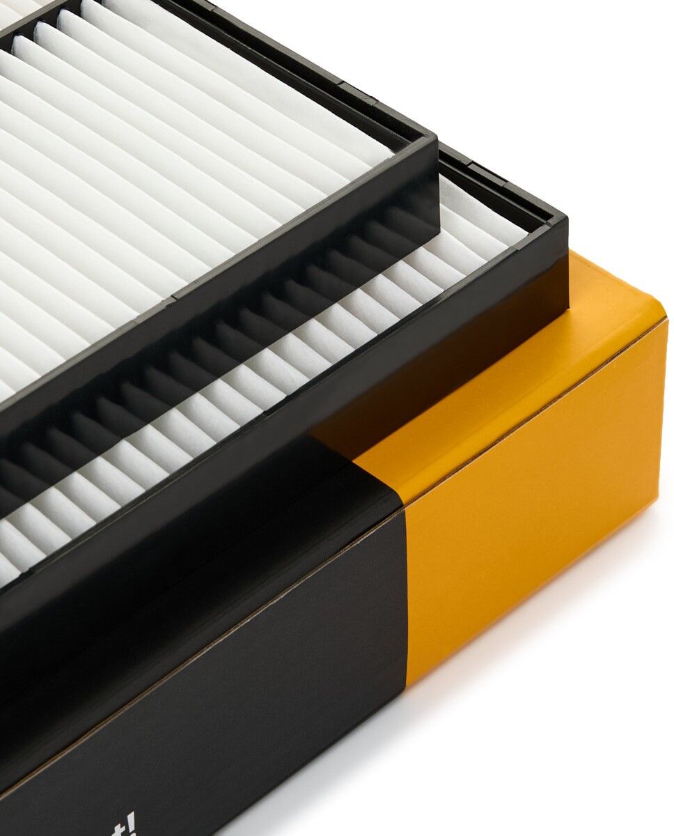 RIDEX 424I0884 Pollen filter
