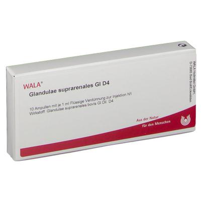 Glandulae Suprarenales GL D 4 Ampullen 10x1 ml