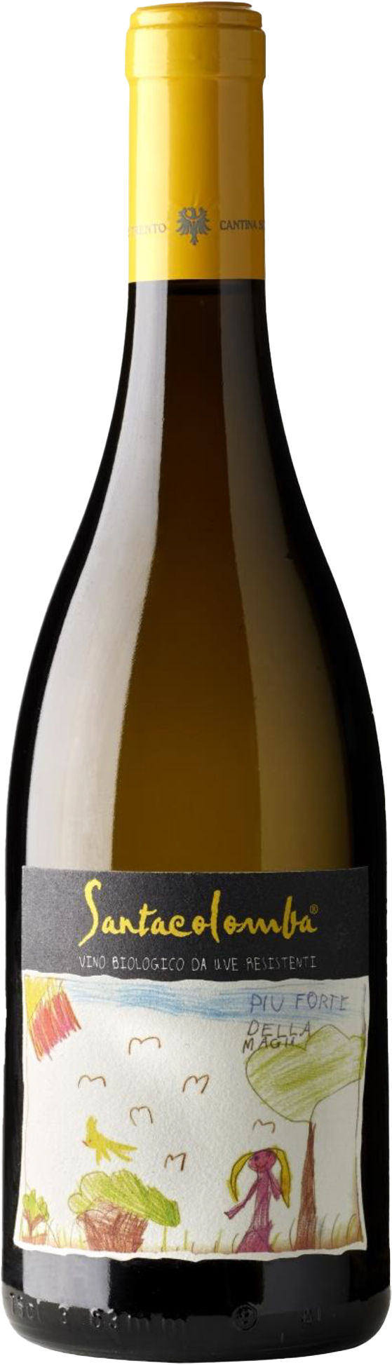 Bianco 'Santacolomba' Cantina di Trento 2025