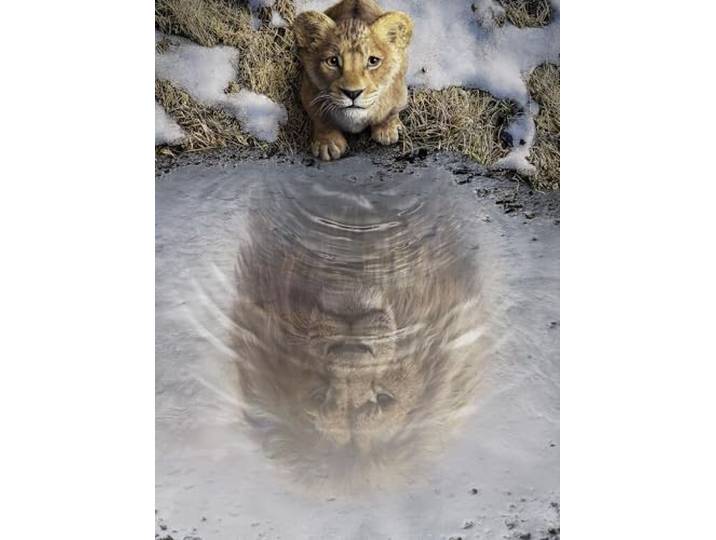 Komar Wandbild- Disney Mufasa The Lion King - Größe 30 x 40 cm - Poster, Kinderzimmer, Dekoration - gerollt ohne Rahmen, Blau,Braun